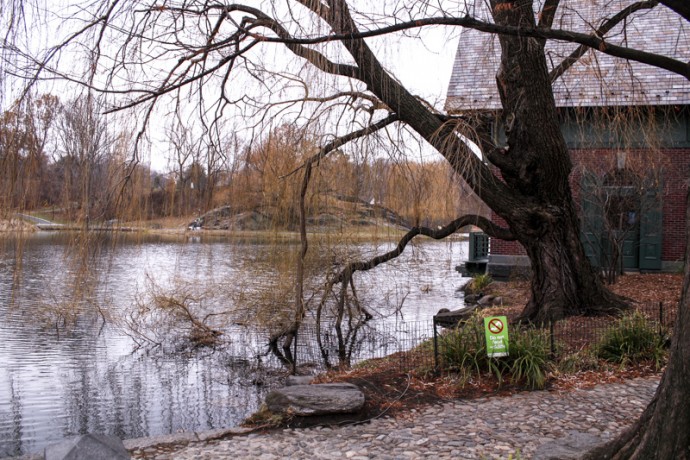 View of the lake at East 110th Street in Central Park.