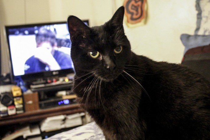 Molly looking to her left.