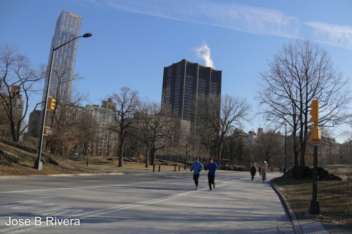 Photo of Central Park Runner