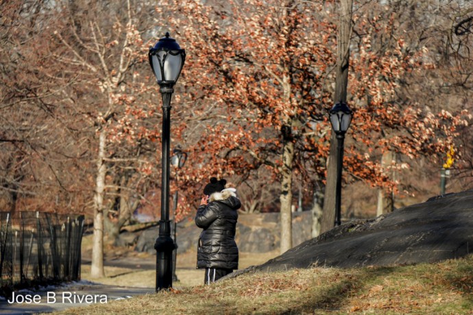 Lady talking on her cell phone while in Central Park.
