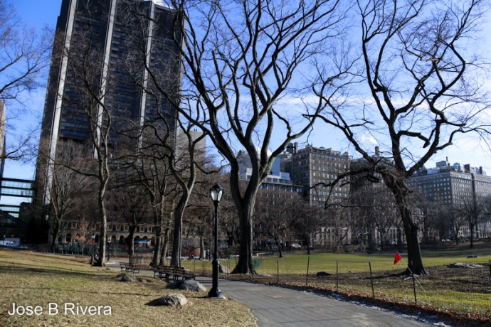 Mt Sinai as seen from inside Central Park.