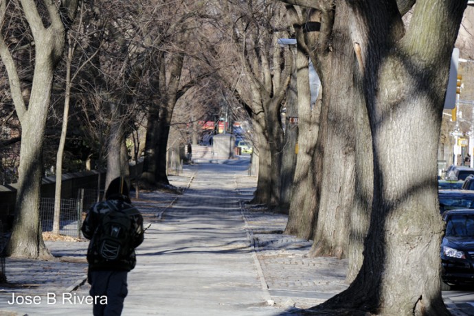 A lonely looking figure walks alone down Fifth Avenue.