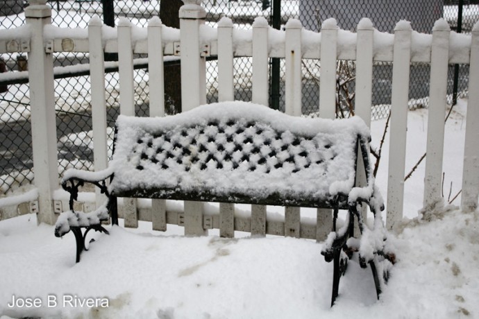 Snow covered church bench.