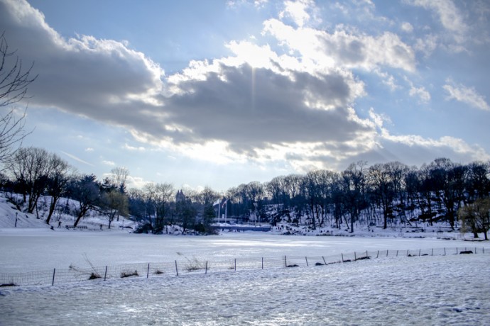 Central Park Snow