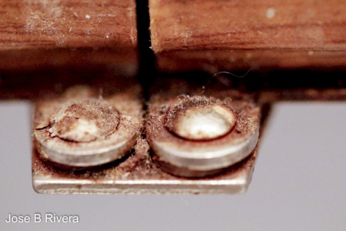 Hinges on the bathroom mirror. Up close one can see the grime that is usually not very visible without a macro shot.