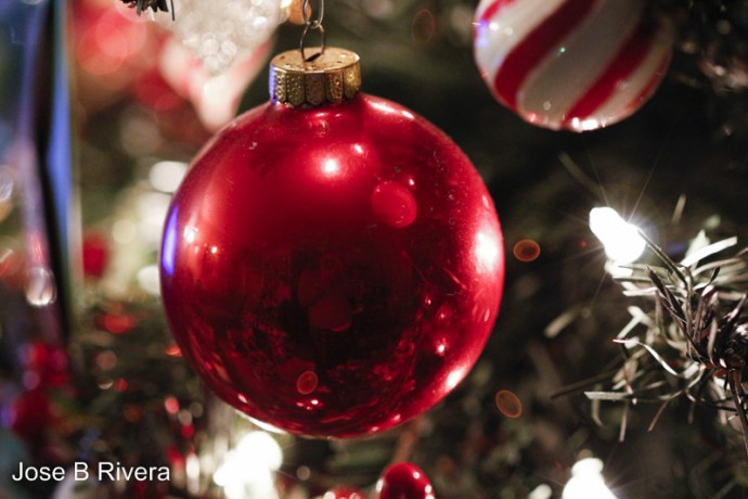 Red Ornament sits on our Christmas tree. You can barely seen my reflection on the ornament as I take the photo.