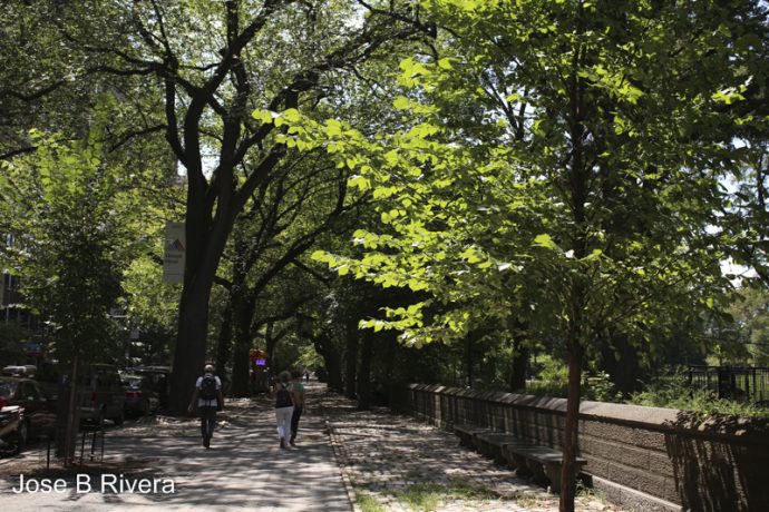 Central Park on 5th Avenue near 102nd Street