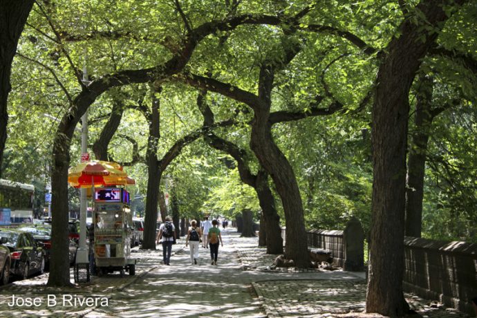 Central Park on Fifth Avenue with food cart.