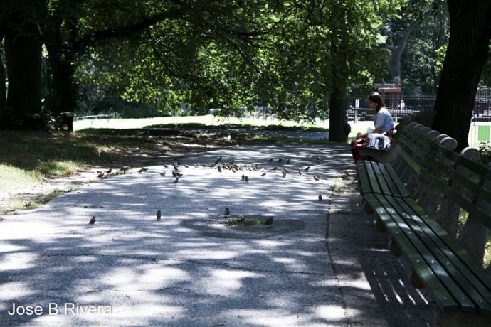 Lady sitting in the shade in Central Park