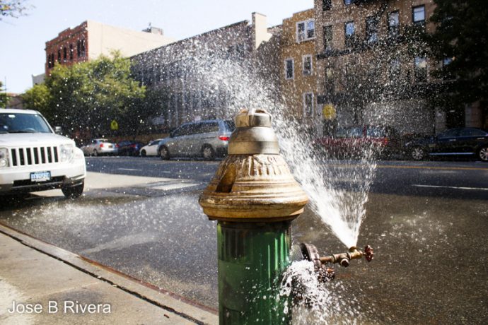 Water Hydrant on East 116th Street near Pleasant Avenue.