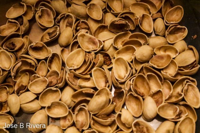 More Pistachio shells.