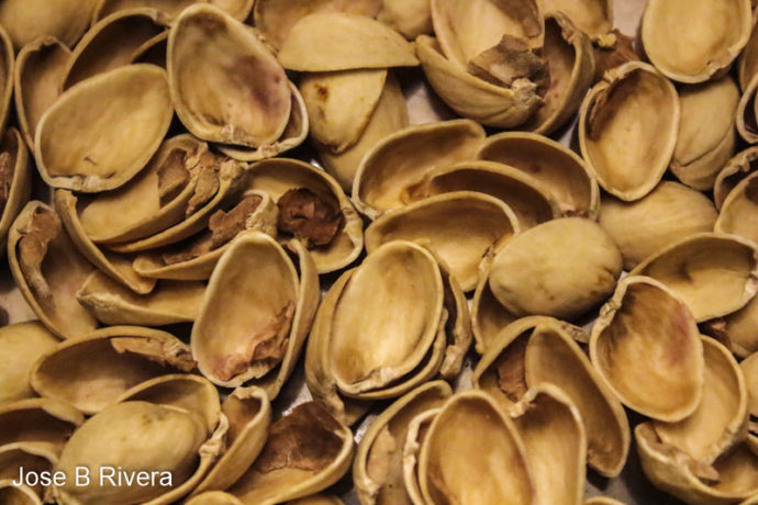 Pistachio shells.