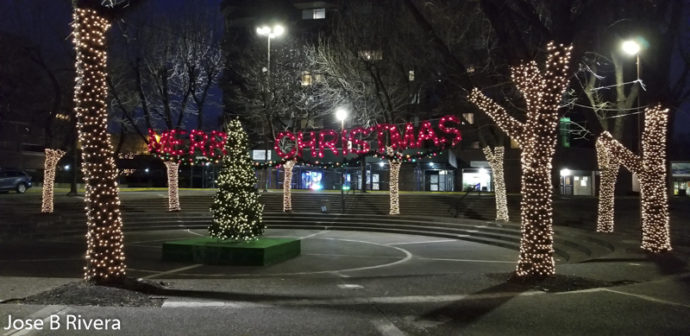 Christmas Display 1199