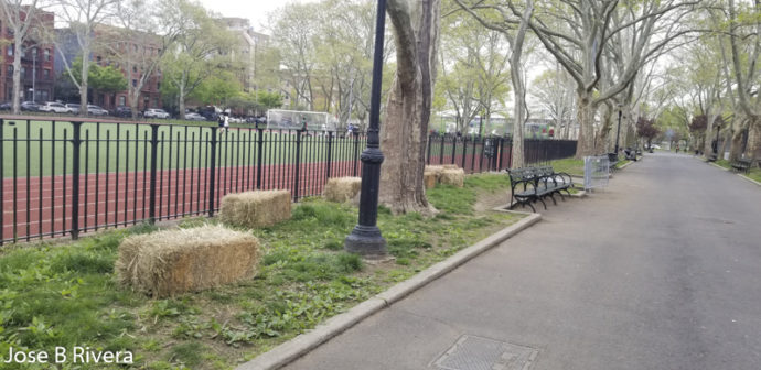Jefferson Park Hay