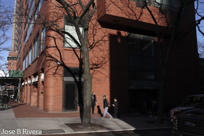 Tree Shadow on Building