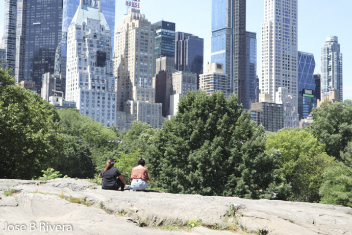 Rock Sitting in Central Park.