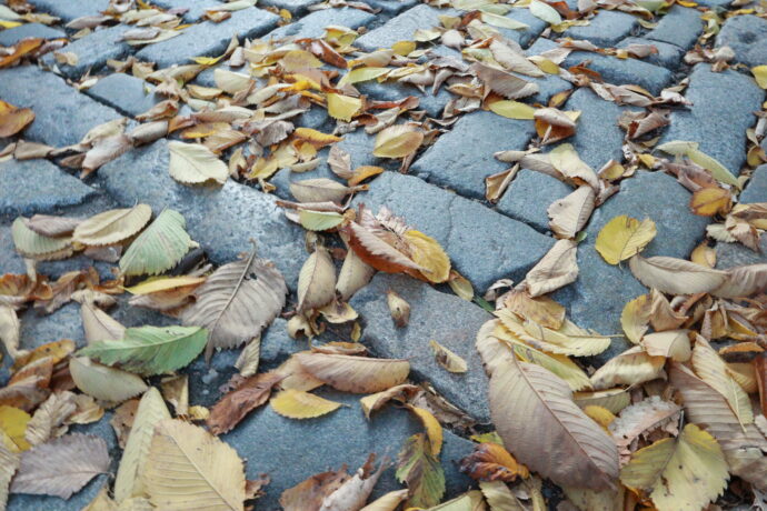 Cobblestone Leaves