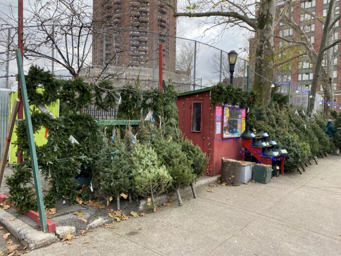 Christmas Tree Shack