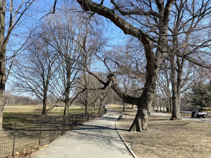 Clear crisp day in New York's Central Park.