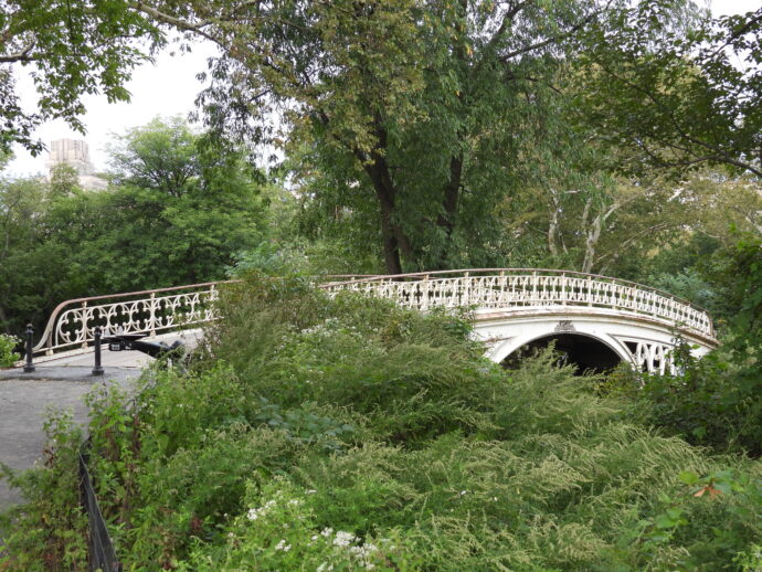 Central Park Bridge.