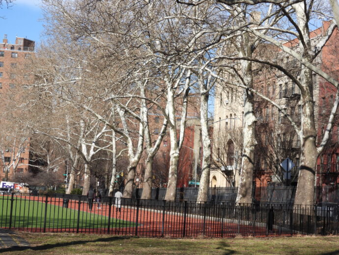 Jefferson Park Trees along East 114th Street between 1st and Pleasant Avenues.